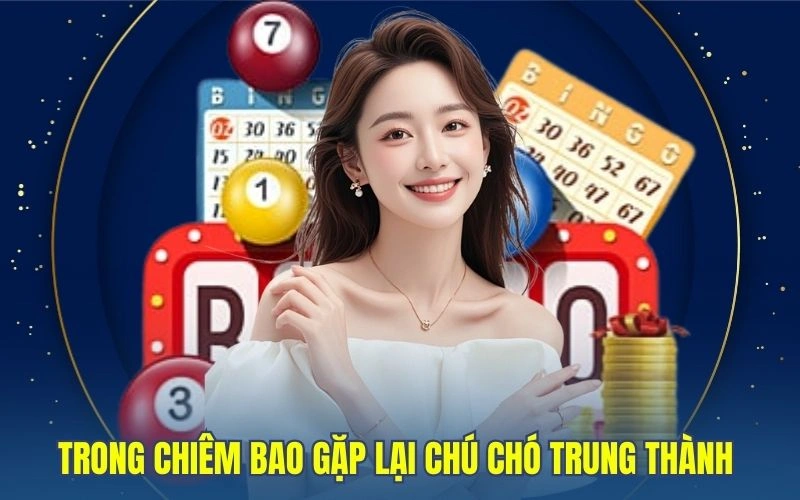 Trong chiêm bao gặp lại chú chó trung thành 