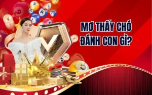 Mơ Thấy Chó