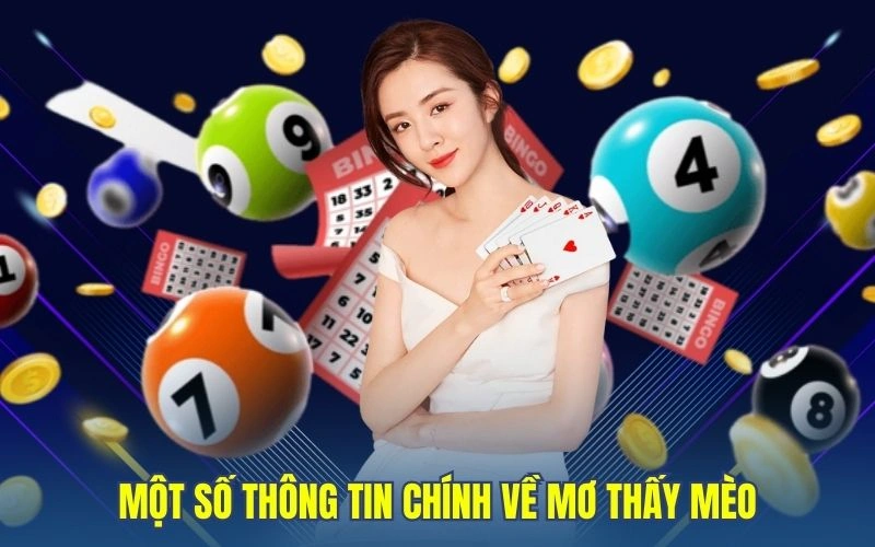 Một số thông tin chính về mơ thấy mèo