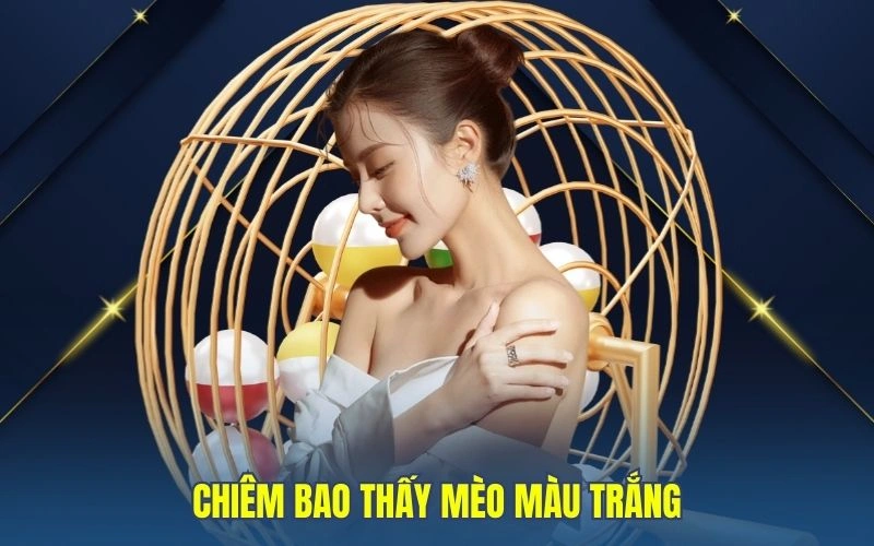 Chiêm bao thấy mèo màu trắng