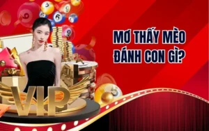 Mơ Thấy Mèo